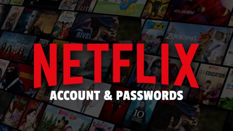 Netflix 1 Year Share Premium Account for 1 User 1 Device